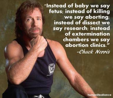 chuckNorris
