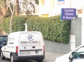 elbosque-plaga-26-12-2014