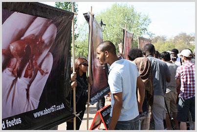 Abort67understanding-abortion